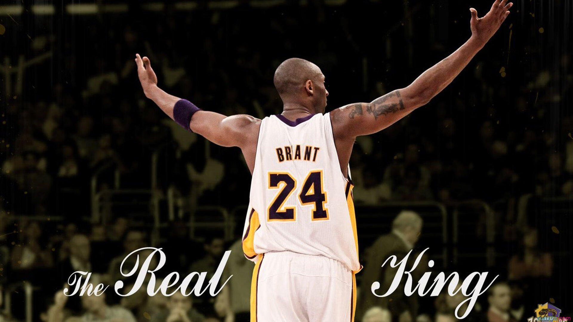 篮球运动数据可视化分析平台设计,篮球数据分析报告