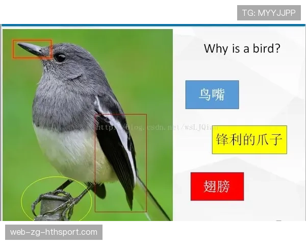 深度:解析CS2在2026年的反作弊算法——它是如何通过玩家行为模式识别挂钩的 深度:解析CS2在2026年的反作弊算法——它是如何通过玩家行为模式识别挂钩的